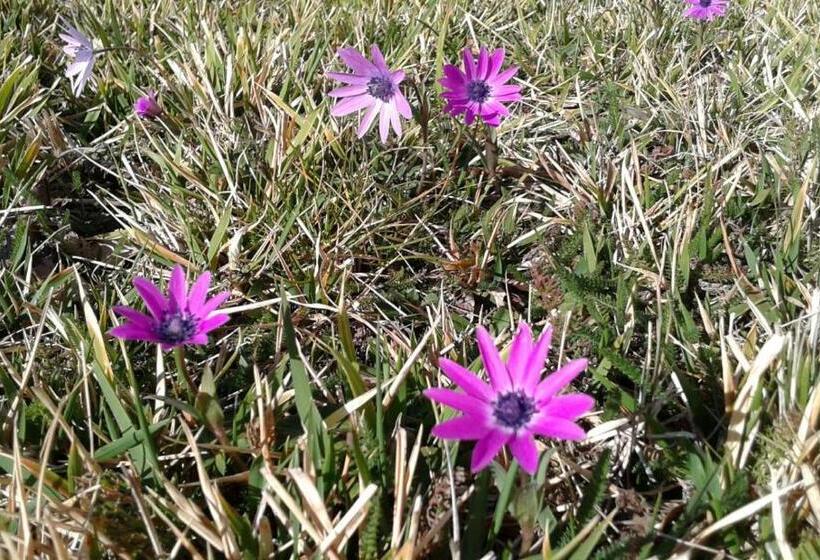 فندق B&b Resort Fonte La Castellana