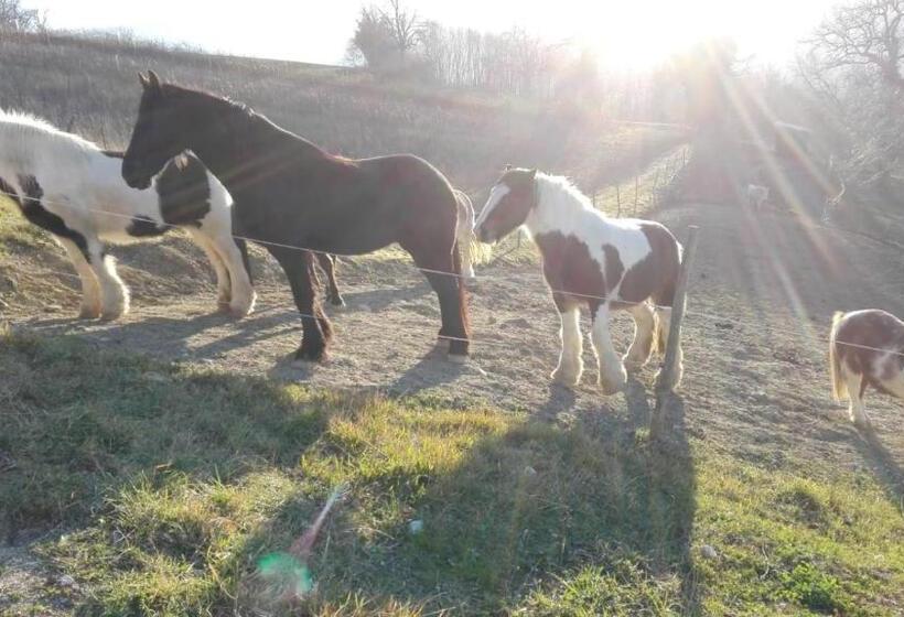 فندق B&b Resort Fonte La Castellana