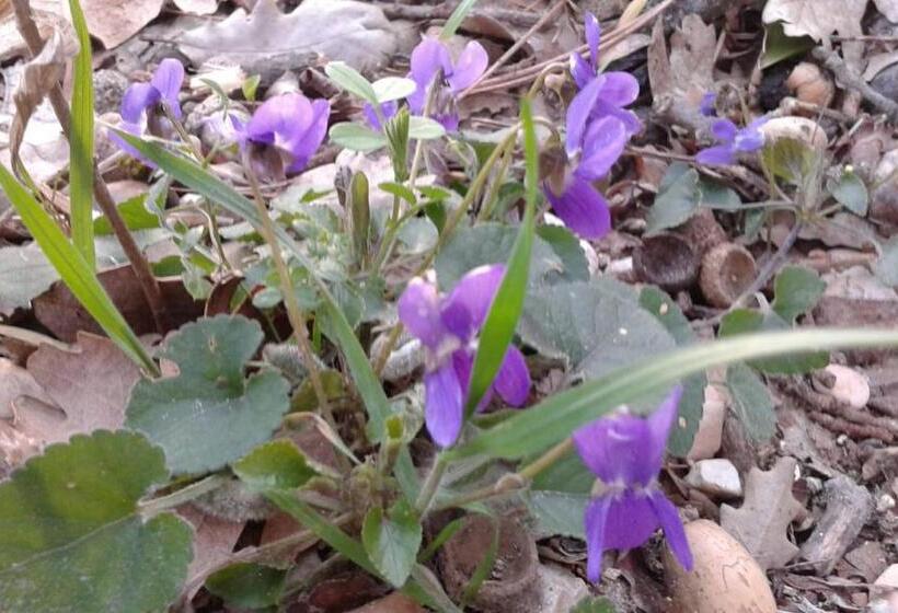 فندق B&b Resort Fonte La Castellana