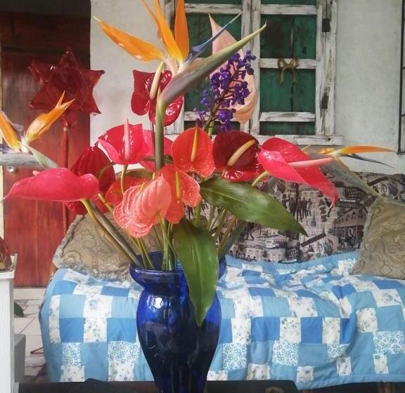 بنسيون Portal De Los Farolitos