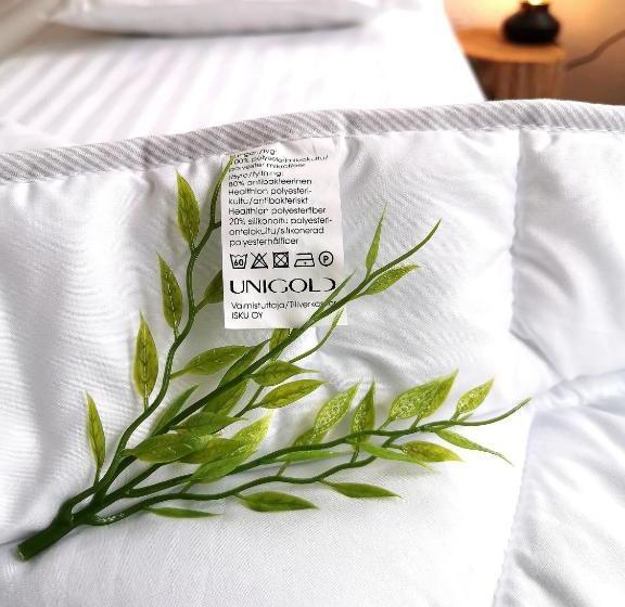 ホテル Goiglo Majoitus