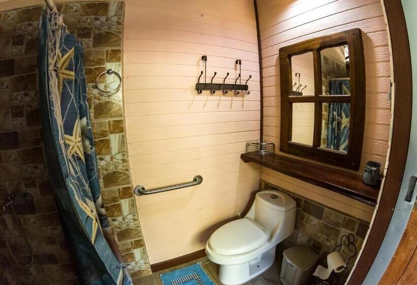 فندق Coyote Rooms