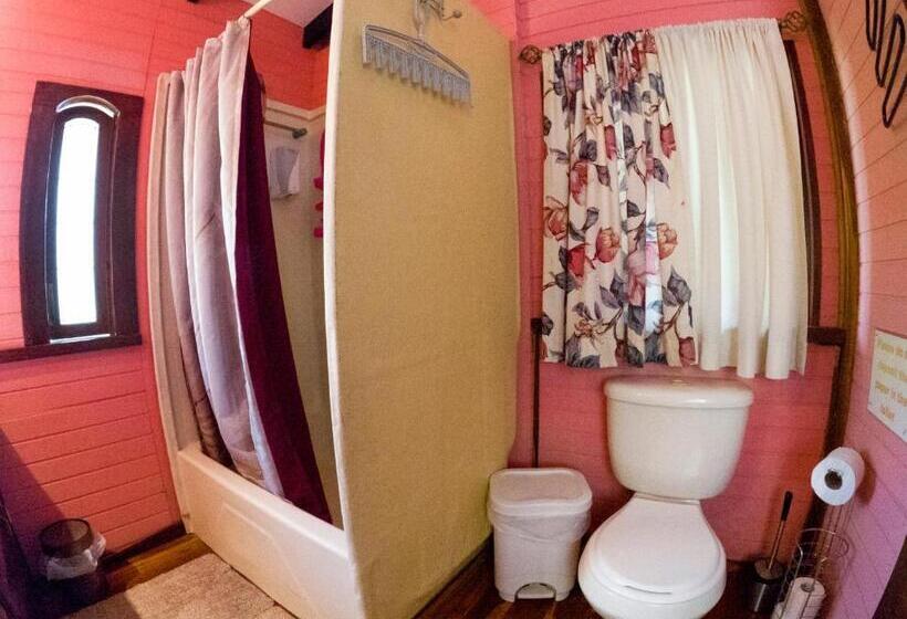 فندق Coyote Rooms