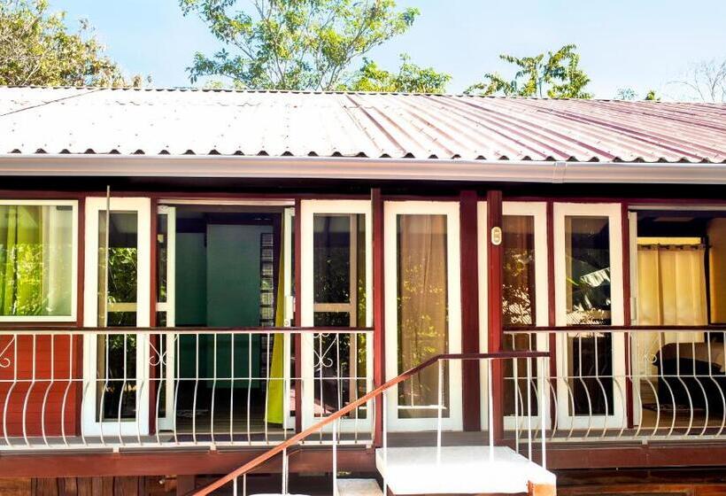 فندق Coyote Rooms