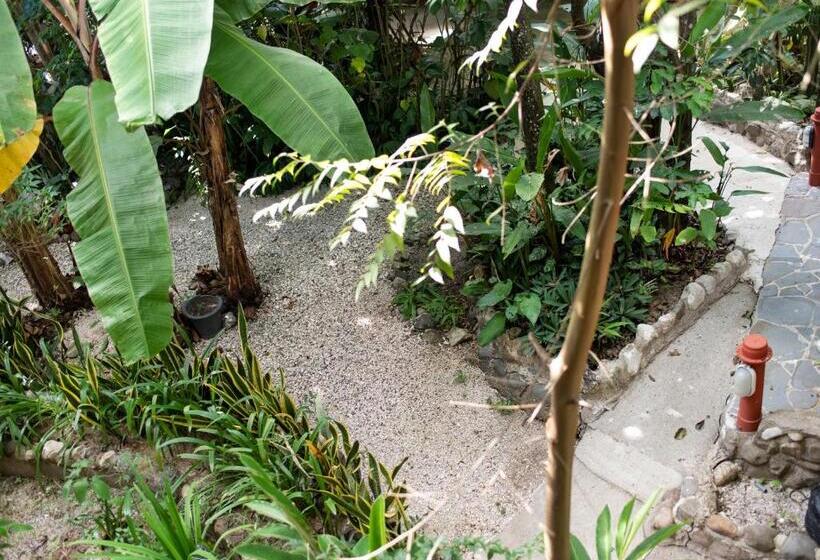 فندق Coyote Rooms