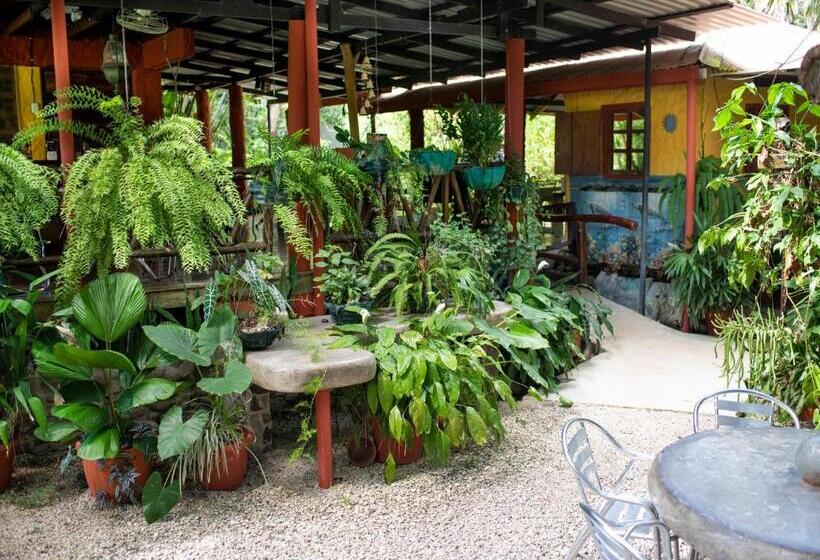 فندق Coyote Rooms