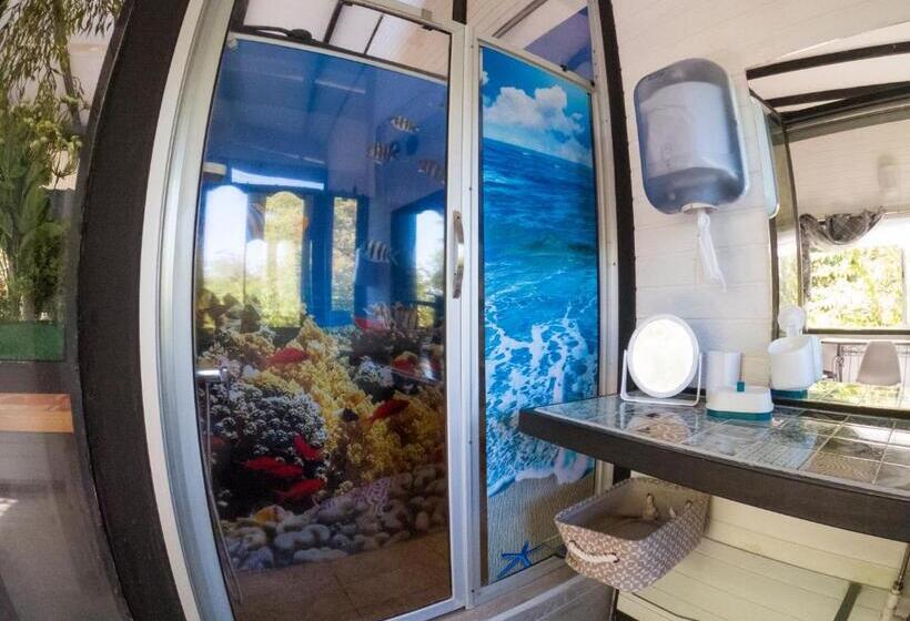 فندق Coyote Rooms