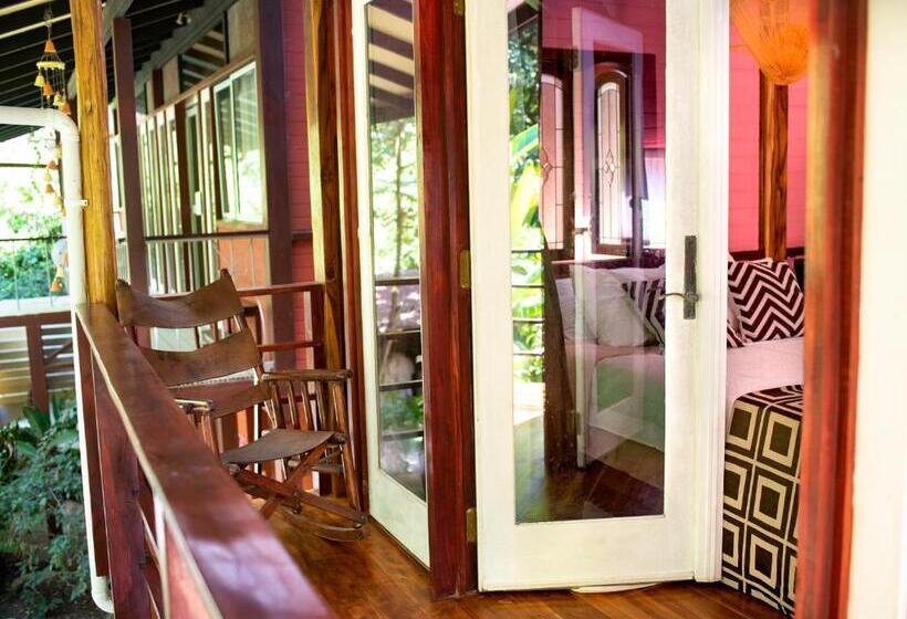 فندق Coyote Rooms