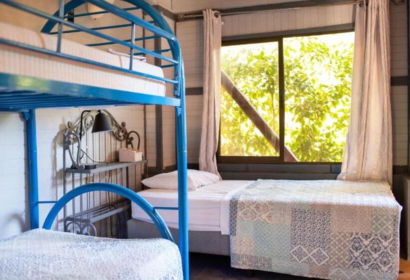 فندق Coyote Rooms