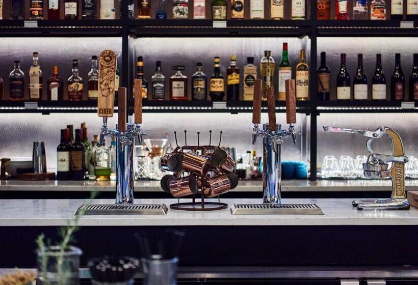 فندق The Casso, Raleigh, A Tribute Portfolio