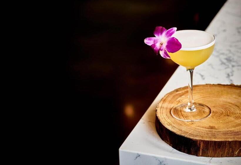 فندق The Casso, Raleigh, A Tribute Portfolio