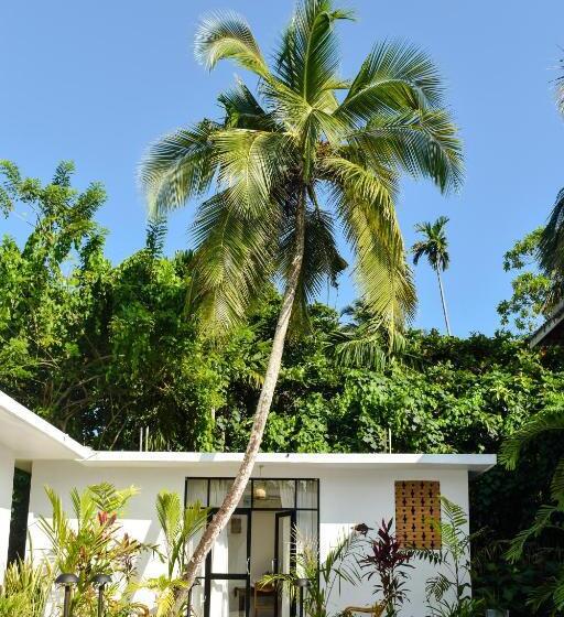 Отель Venus Villa