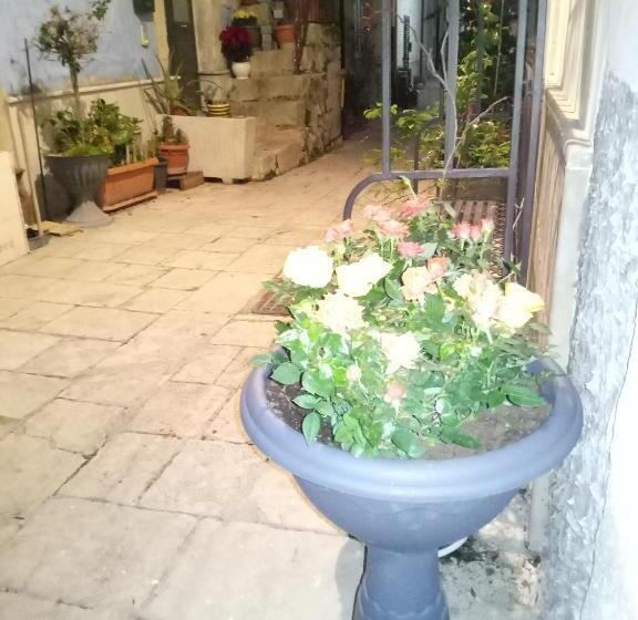 پانسیون Only For Two Giumbabulla