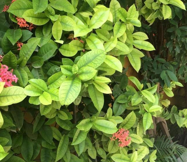 펜션 Uteliaa Homestay