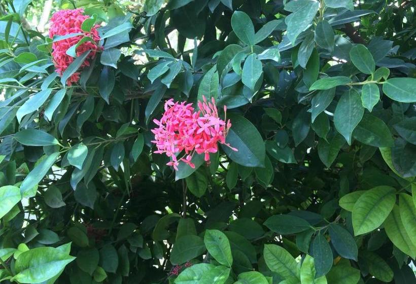 펜션 Uteliaa Homestay