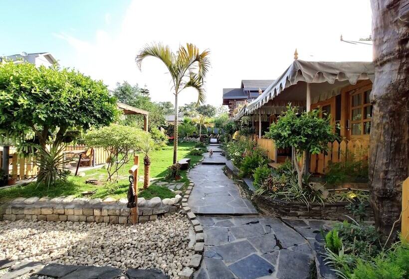 אתר נופש Cabana Affair