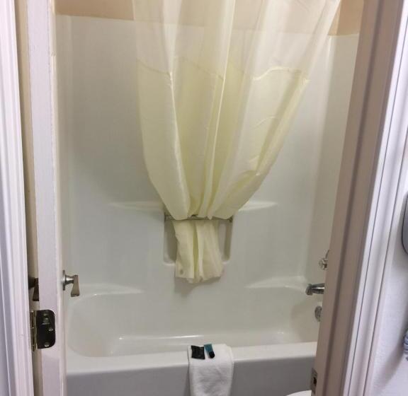 酒店 Americas Best Value Inn Tuscaloosa