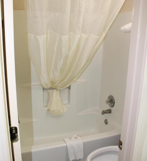 酒店 Americas Best Value Inn Tuscaloosa