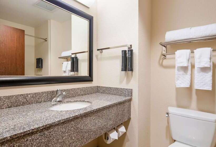 فندق Best Western Plus Chain Of Lakes Inn & Suites