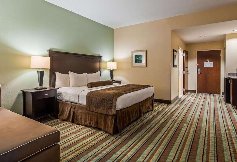 فندق Best Western Plus Chain Of Lakes Inn & Suites