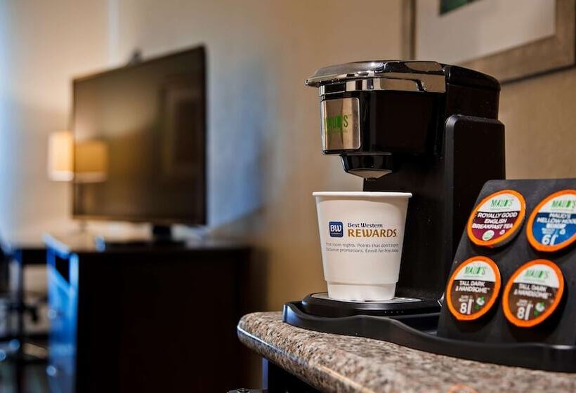 فندق Best Western Plus Chain Of Lakes Inn & Suites