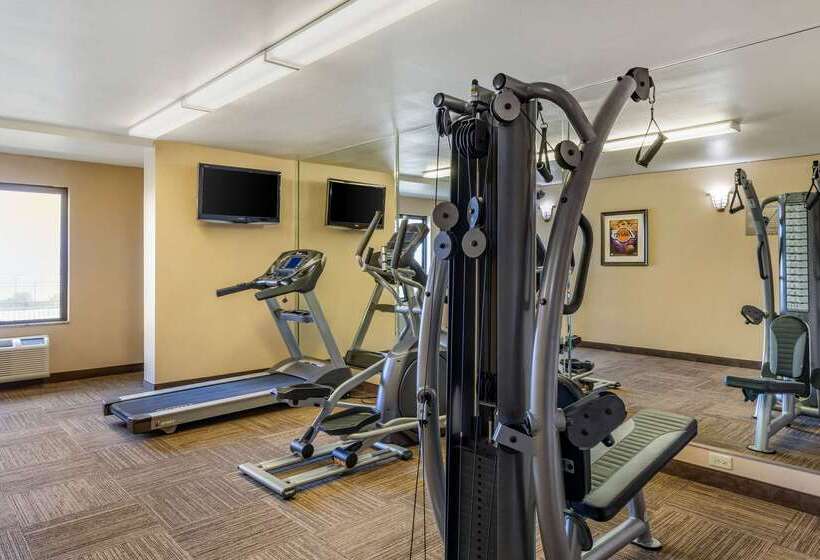 בית מלון כפרי Comfort Inn & Suites