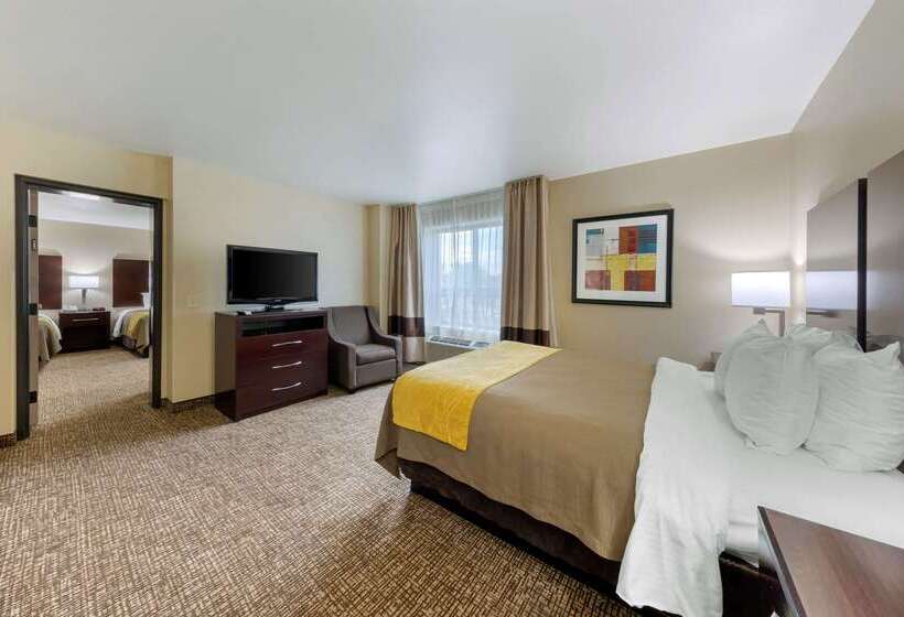 בית מלון כפרי Comfort Inn & Suites