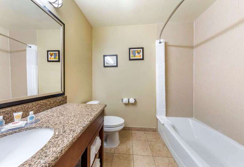 בית מלון כפרי Comfort Inn & Suites