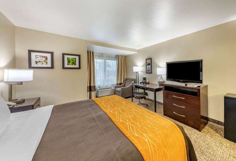 בית מלון כפרי Comfort Inn & Suites