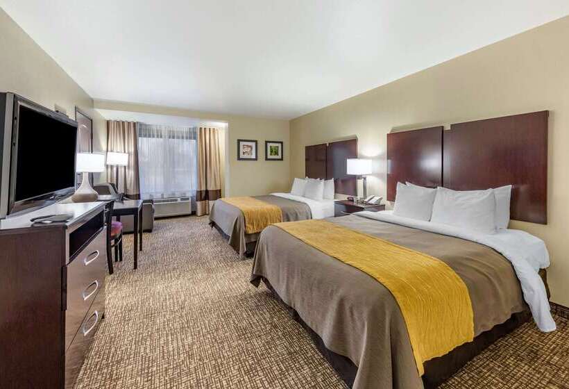 בית מלון כפרי Comfort Inn & Suites