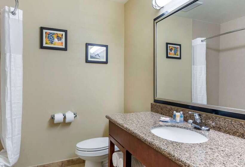 בית מלון כפרי Comfort Inn & Suites