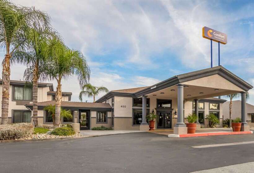 בית מלון כפרי Comfort Inn & Suites