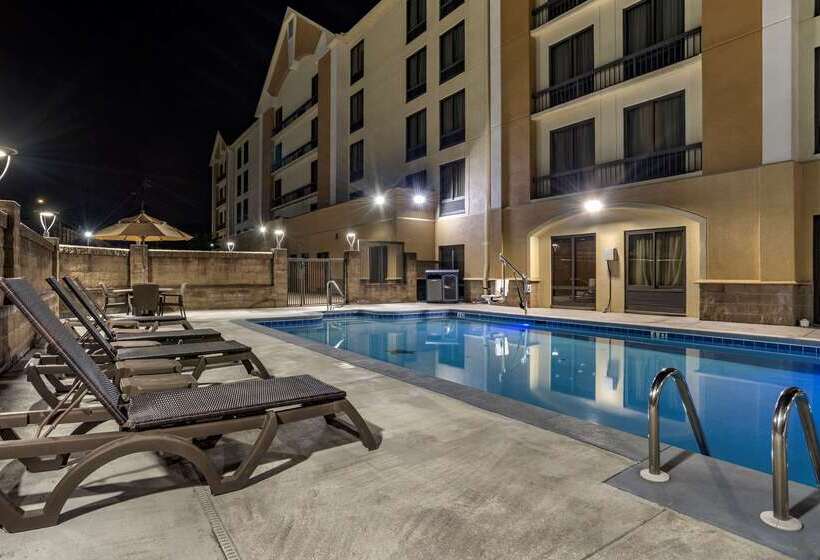 酒店 Comfort Inn Birmingham Homewood