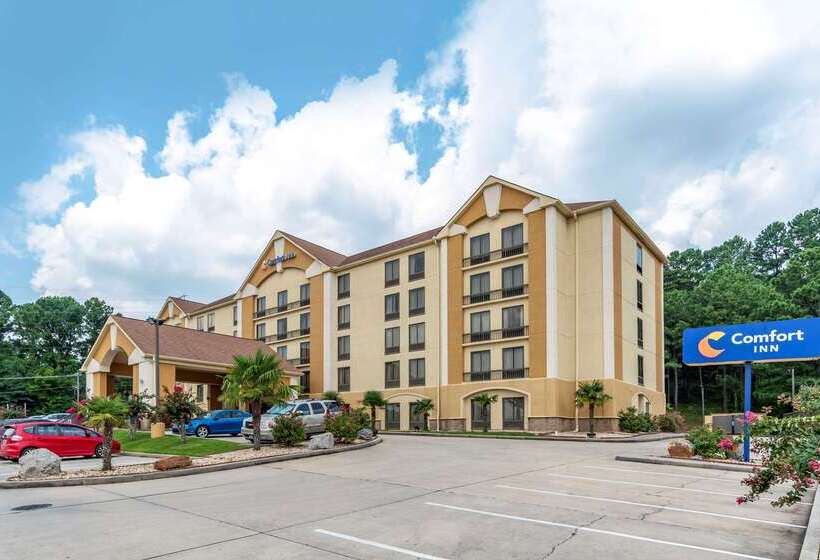 酒店 Comfort Inn Birmingham Homewood