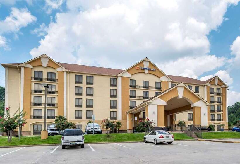 酒店 Comfort Inn Birmingham Homewood