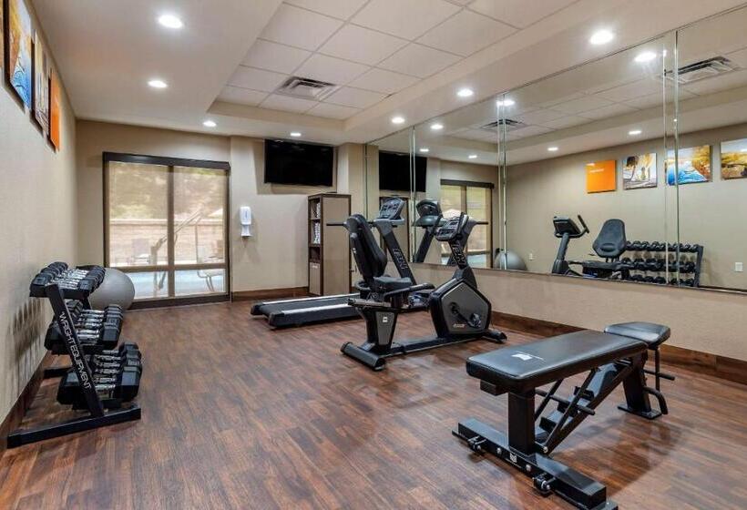 酒店 Comfort Inn Birmingham Homewood