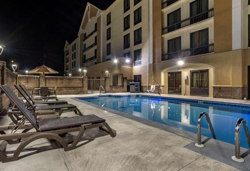 酒店 Comfort Inn Birmingham Homewood