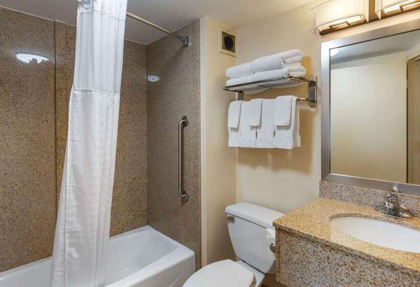 בית מלון כפרי Comfort Inn Kennesaw