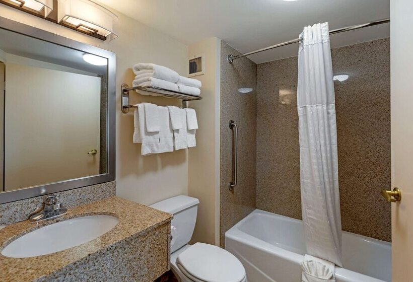 בית מלון כפרי Comfort Inn Kennesaw