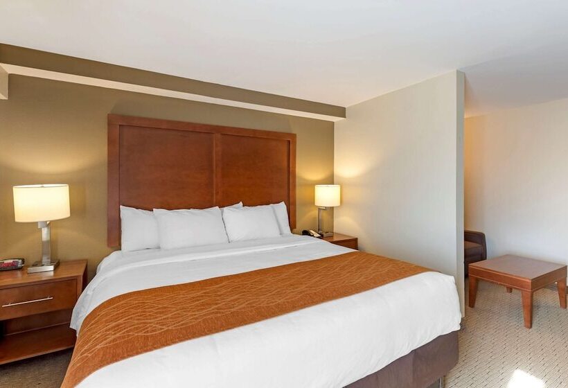 בית מלון כפרי Comfort Inn Kennesaw