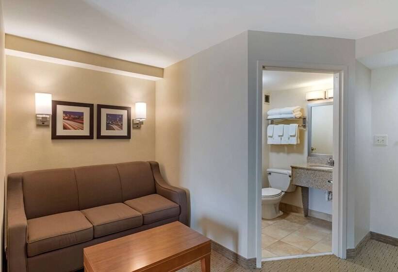 בית מלון כפרי Comfort Inn Kennesaw