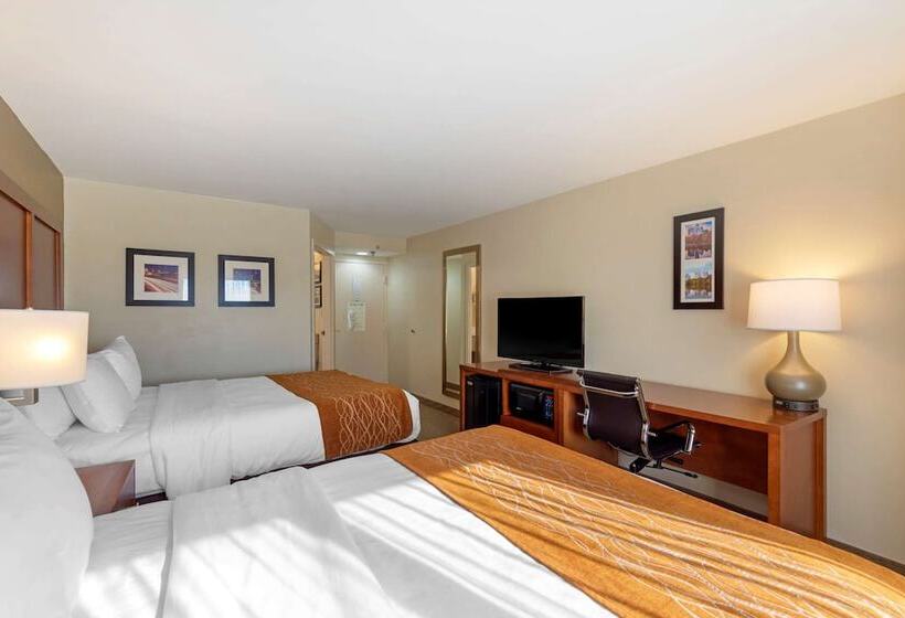 בית מלון כפרי Comfort Inn Kennesaw