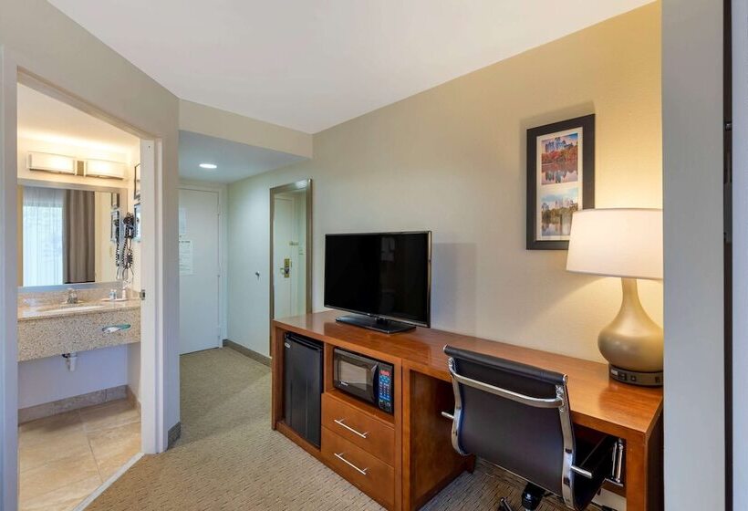 בית מלון כפרי Comfort Inn Kennesaw