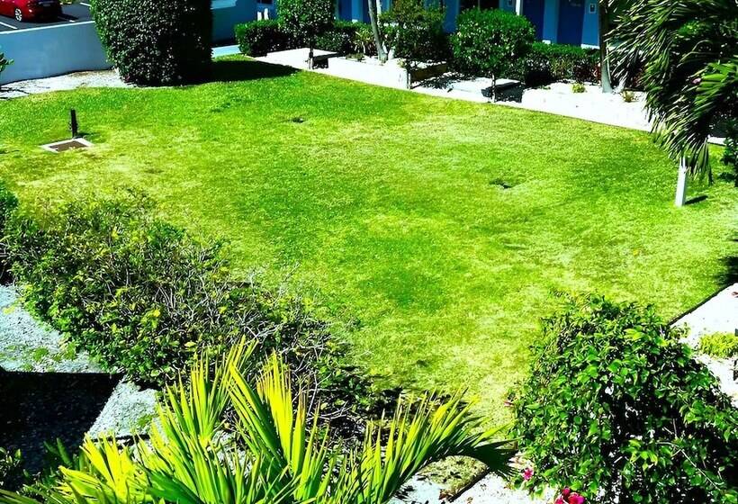 فندق Lantern Inn & Suites  Sarasota