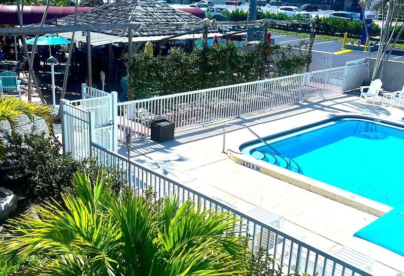 فندق Lantern Inn & Suites  Sarasota