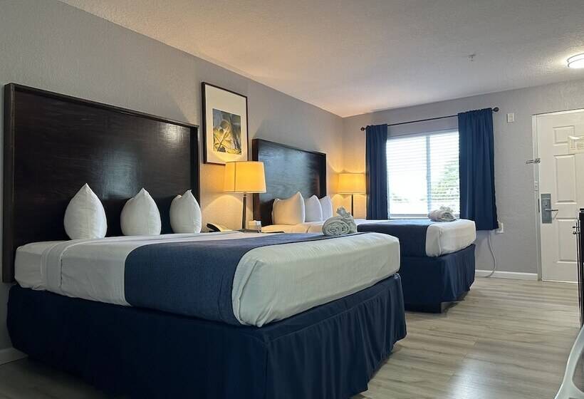 فندق Lantern Inn & Suites  Sarasota