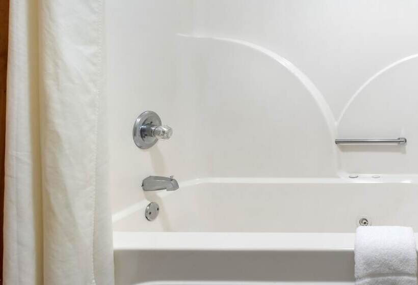 ホテル Quality Inn Bloomington Near University