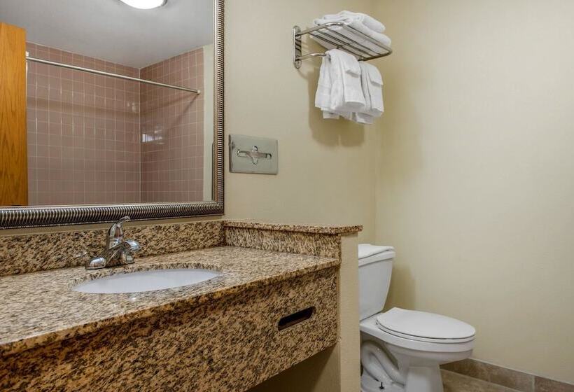 ホテル Quality Inn Bloomington Near University