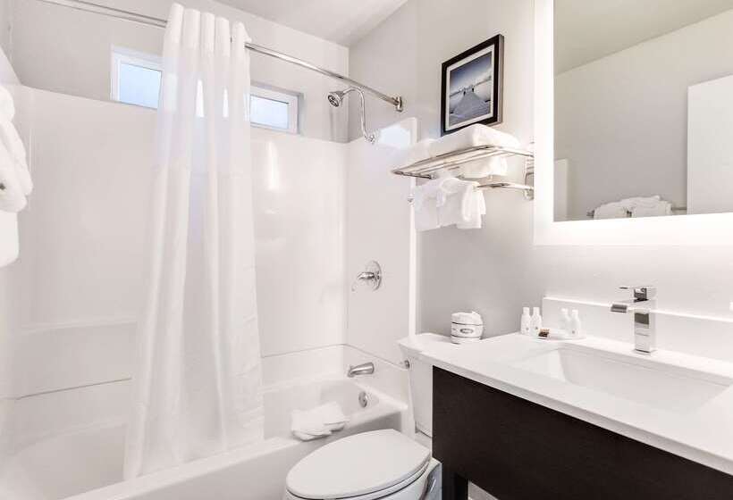 酒店 Quality Inn South Lake Tahoe