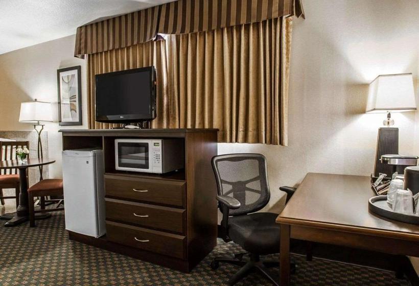 Quality Inn & Suites Hotel Seattle Center